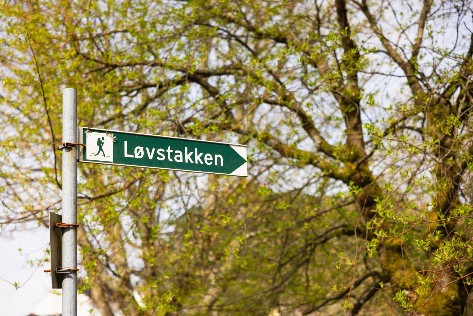 Fra inngangsdøren er det gangavstand til lekeplass, kollektivtransport, idrettsanlegg, skole, barnehage, butikk, tur- og fritidsmuligheter. Galleribilde