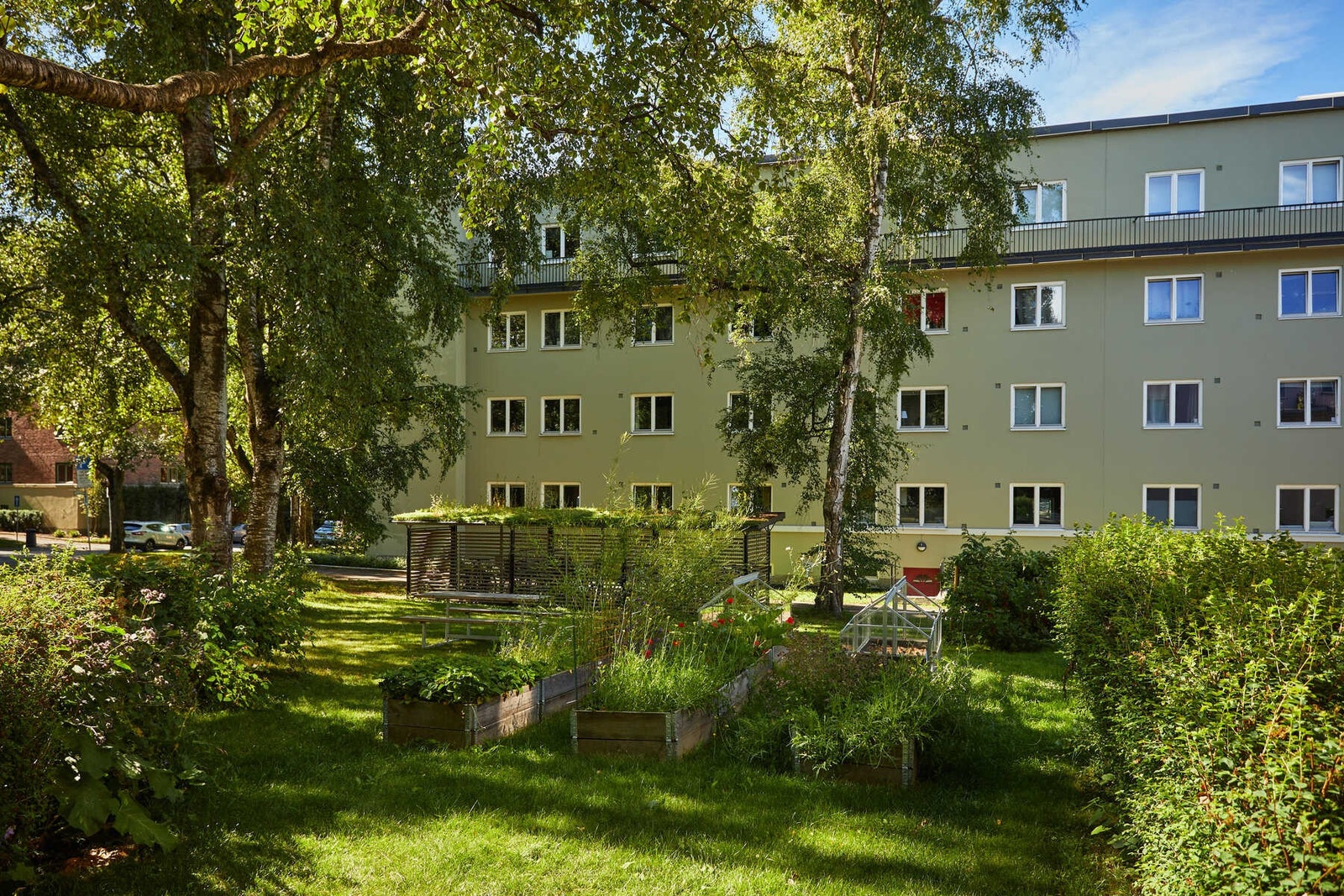 Stor flott fellestomt, pent opparbeidet med asfalterte biloppstillingsplasser, sykkelskur, felles sittebenker, gressplen og diverse beplantning. Galleribilde