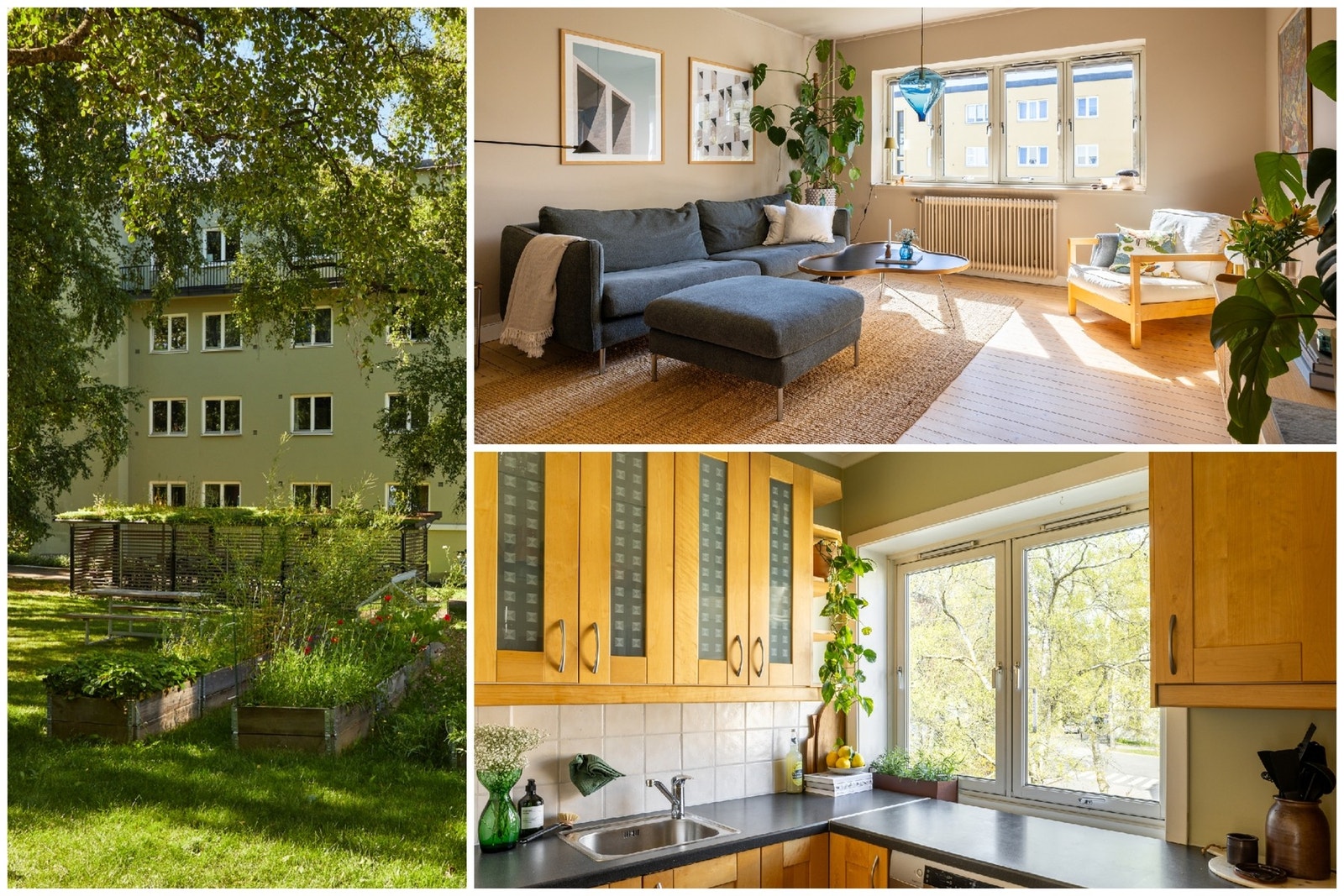 Velkommen til Sinsen og Bjørn Stallares vei 31! Foto: Magne Risnes Galleribilde