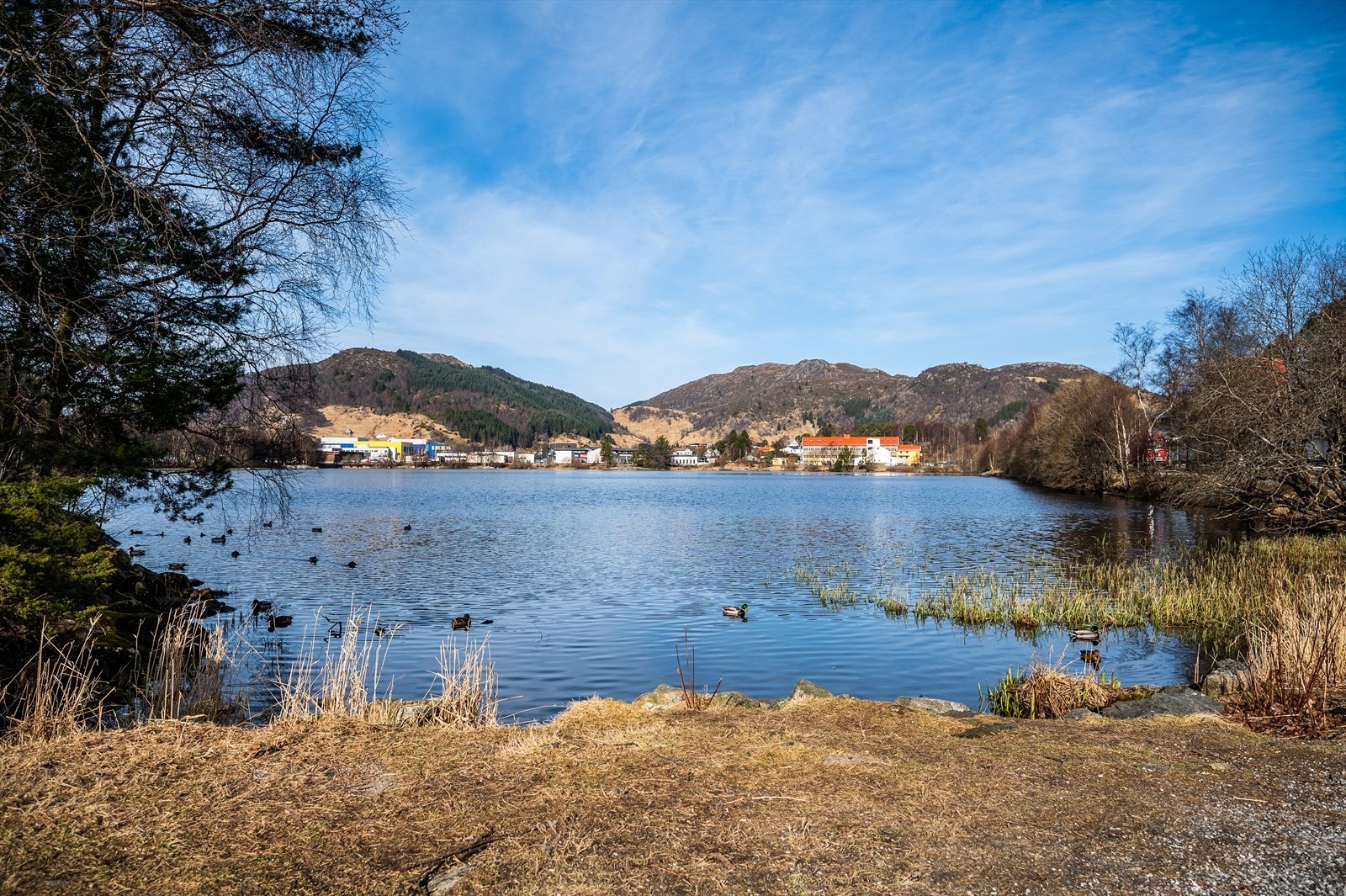 Idylliske omgivelser Galleribilde