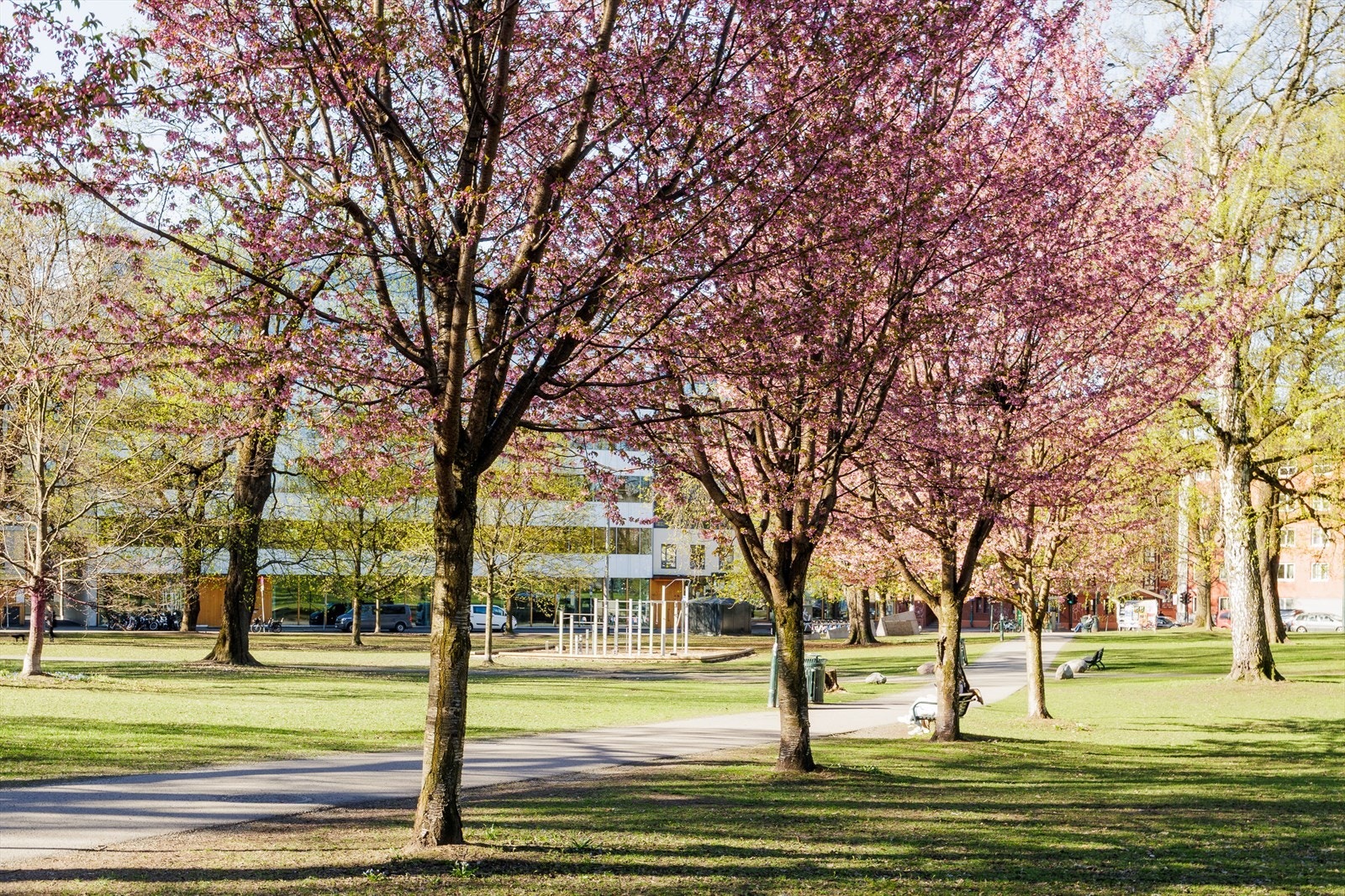 Sofienbergparken ligger i nærområdet og er en av flere grønne lunger på Grünerløkka Galleribilde