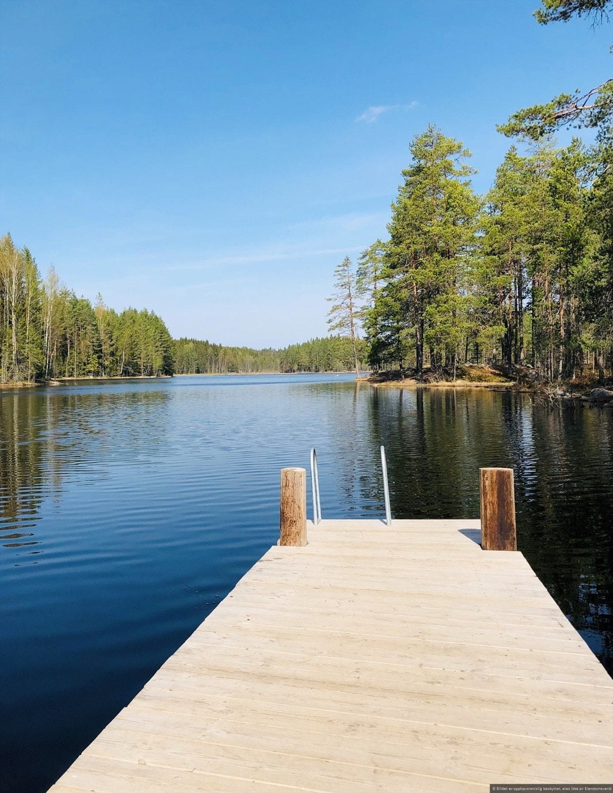 Rett opp i skogen ligger det milevis med turstier. Og en av de ender ved koselige Bogersjøen som er et koselig sted på sommeren for en aldri så liten dukkert! Galleribilde