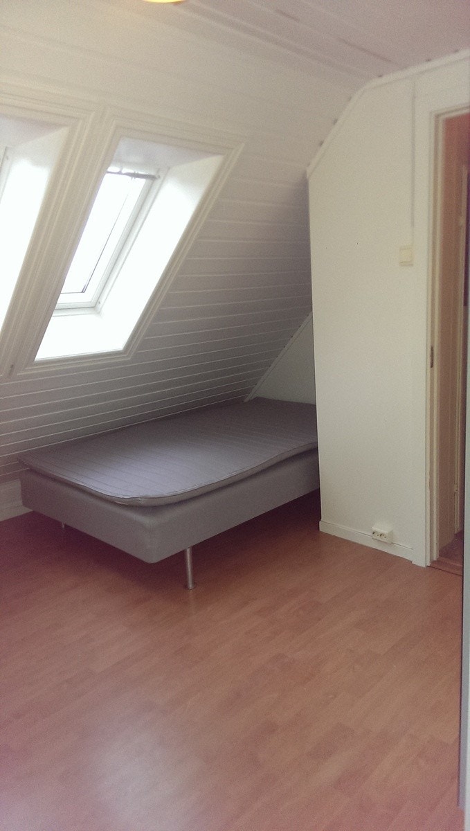 Rom #1 Galleribilde