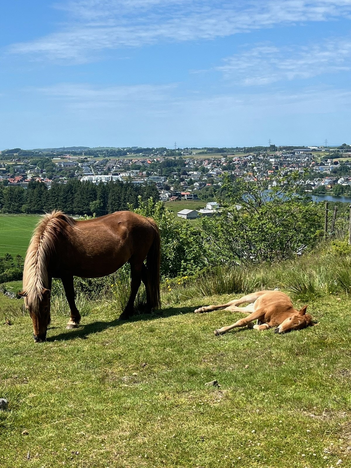 Nærheten til naturen er påtakelig, med turmuligheter i Melsheia og ved Stokkalandsvatnet. Galleribilde