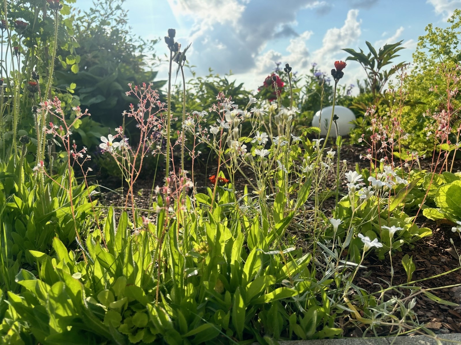 Frodig og velstelt beplantning rammer inn uteområdene. Galleribilde