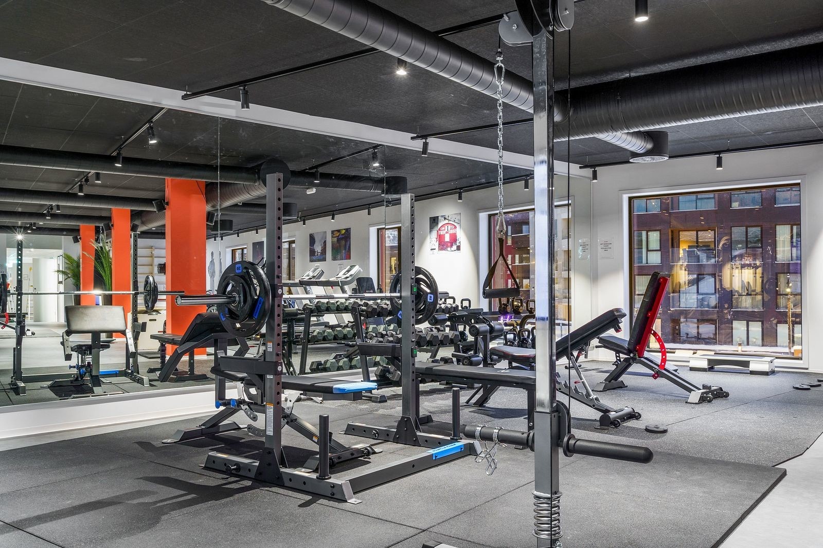 Gym. Galleribilde