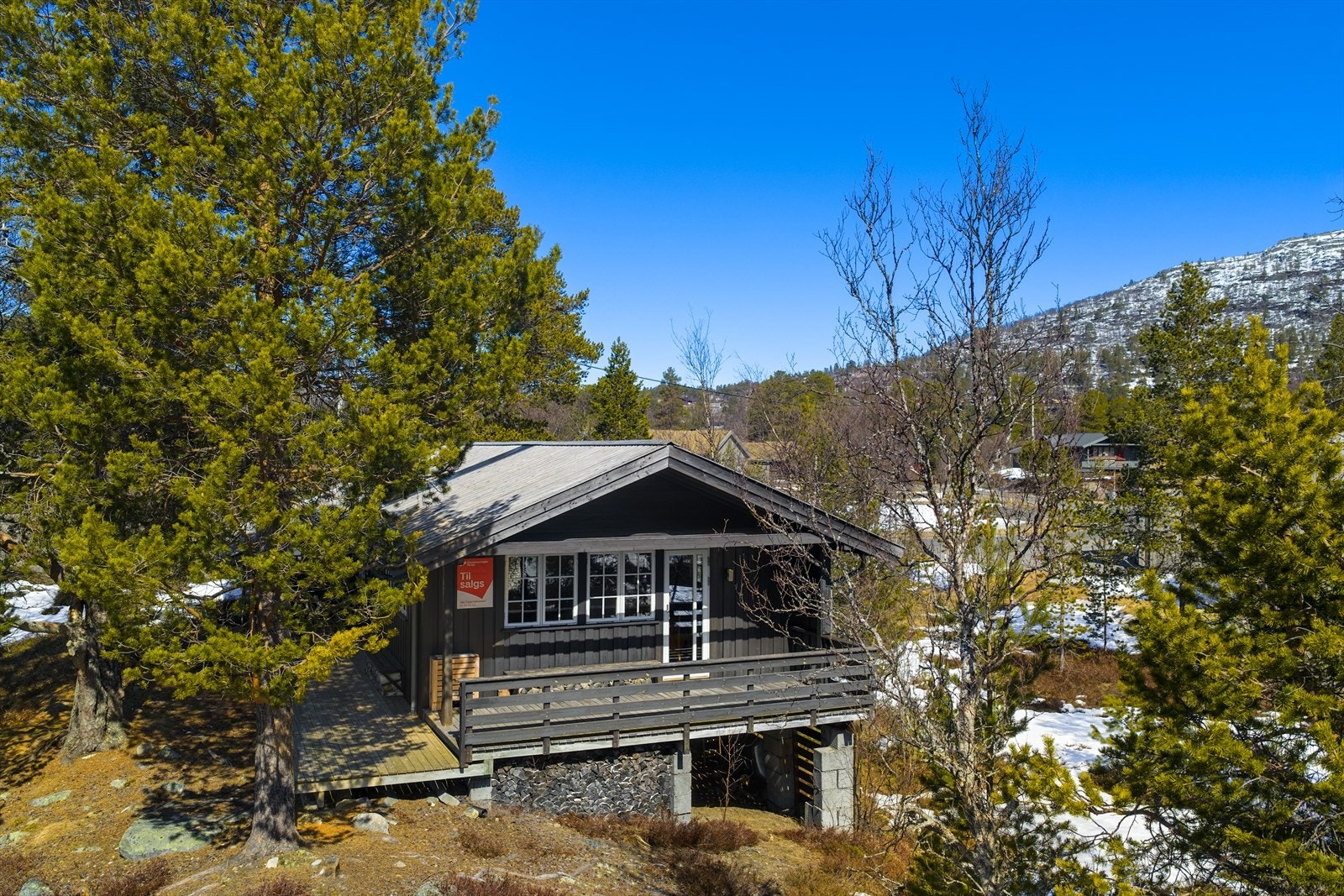 Velkommen til Fisketjønn 4! Galleribilde