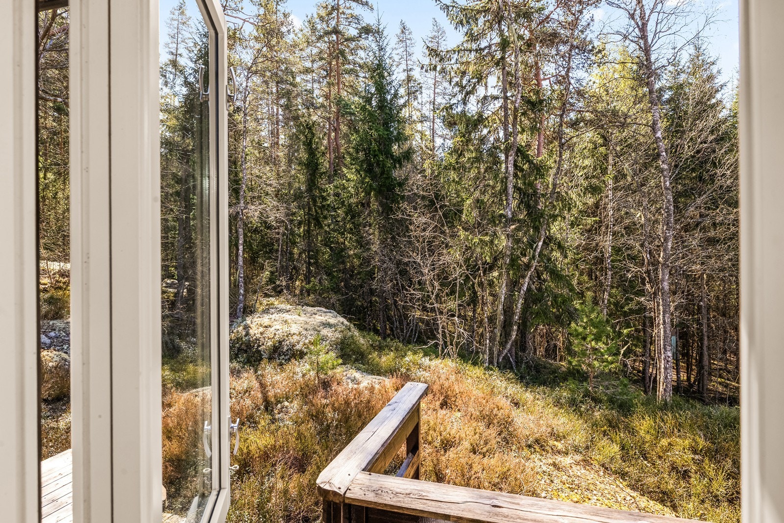 Utsikt rett ut i naturen fra soveromsvinduet. Galleribilde