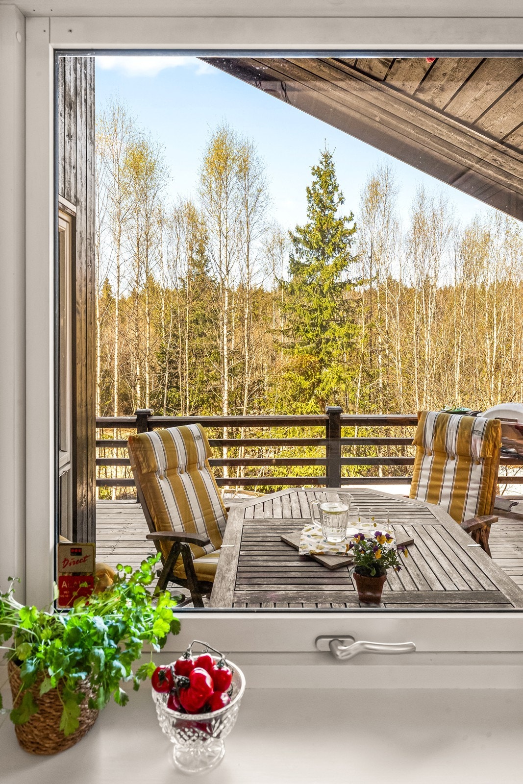 Utsyn mot terrassen og skogen fra kjøkkenvinduet. Galleribilde