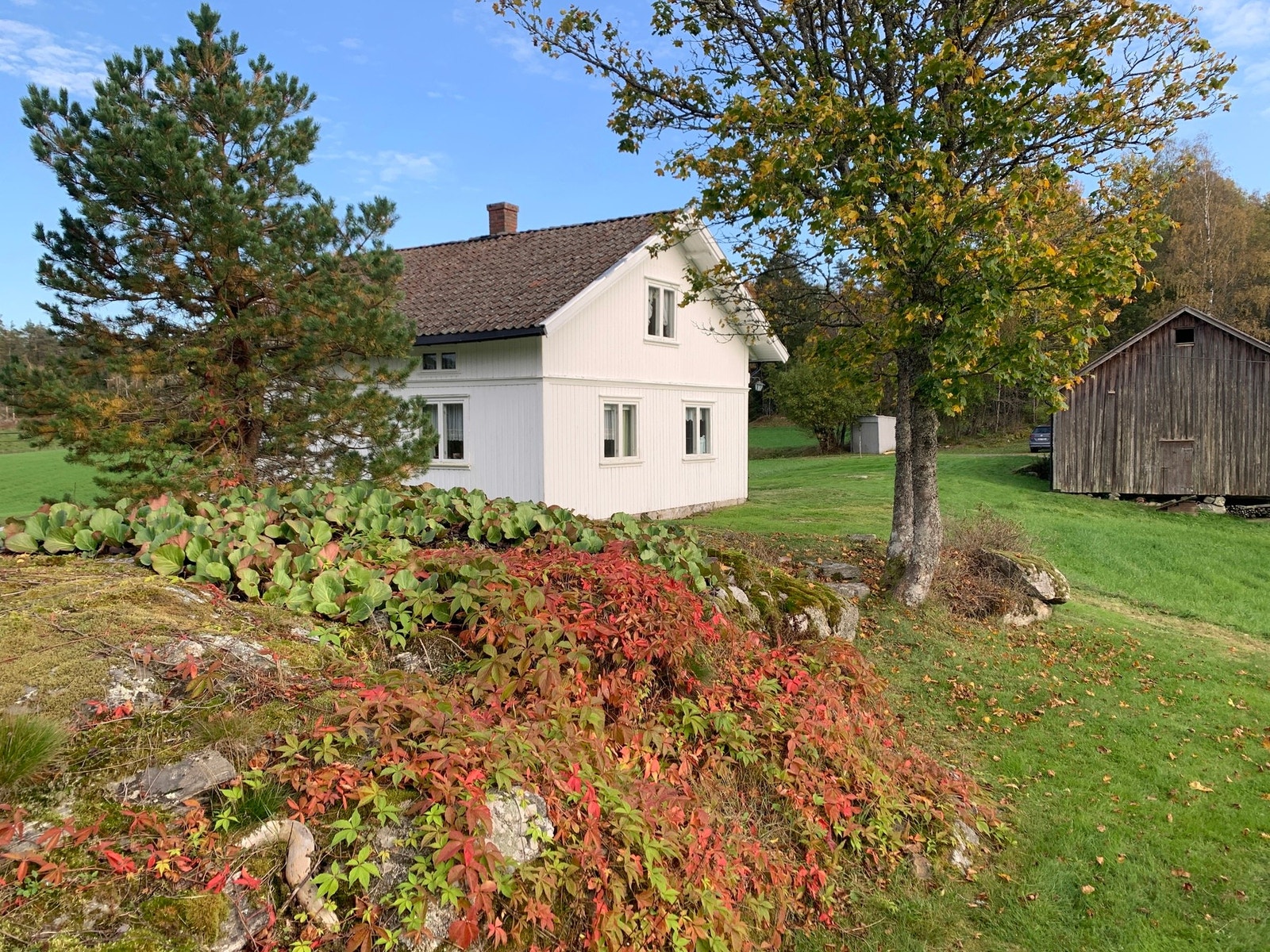 Det er vakre omgivelser på og rundt tunet, både med opparbeidede arealer og natur Galleribilde