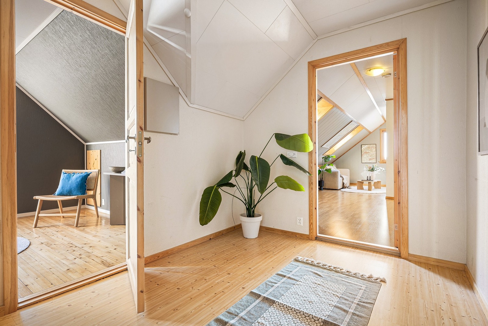 I hallen er det adkomst til et kaldloft med oppbevaringsmuligheter. Galleribilde