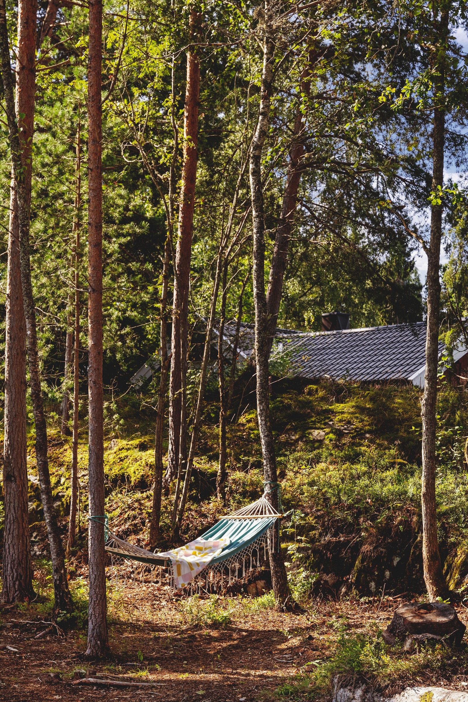 Vakkert og idyllisk i naturskjønne omgivelser. Galleribilde