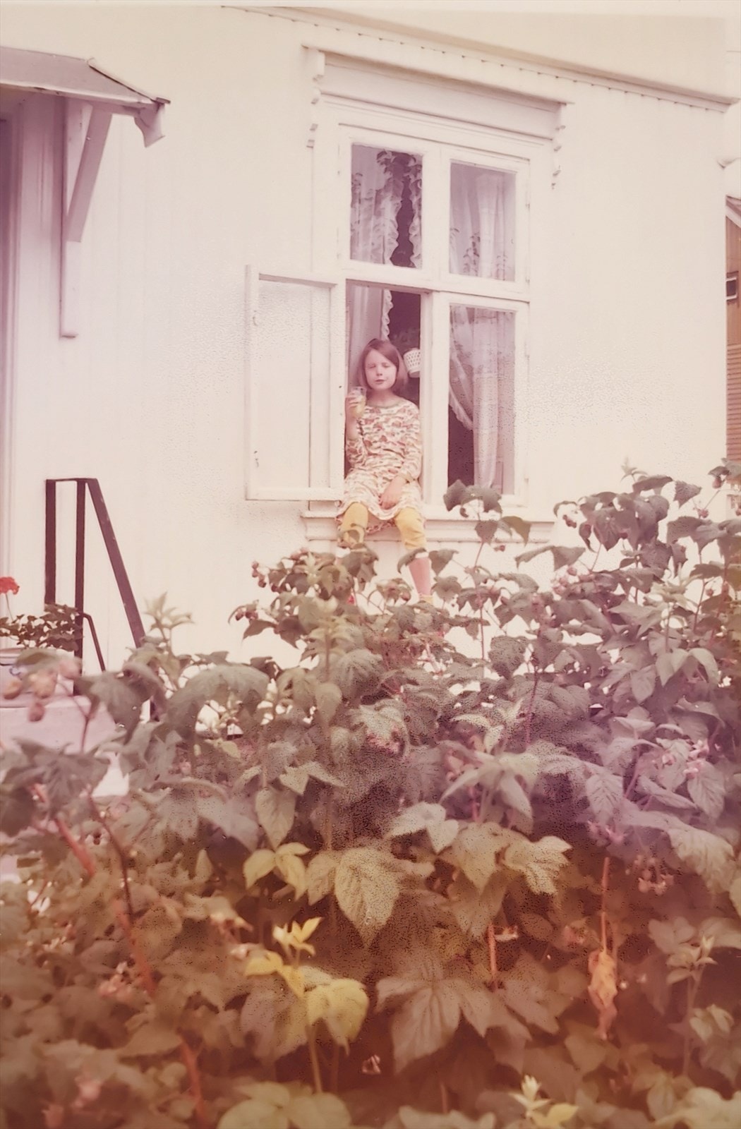 Selger i 1976 Galleribilde