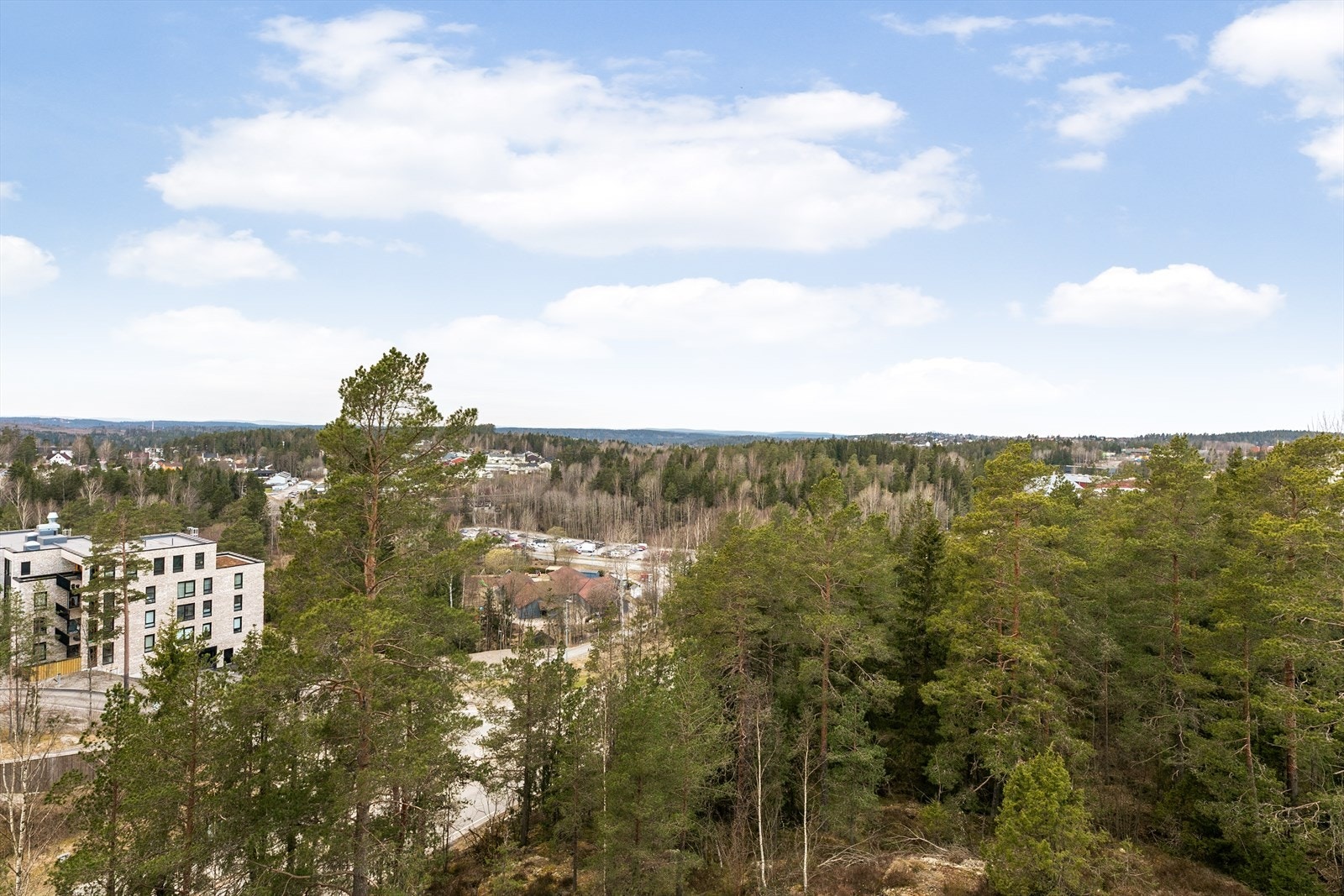 Fra leiligheten er det utsikt over nærområdet og skogen. Galleribilde