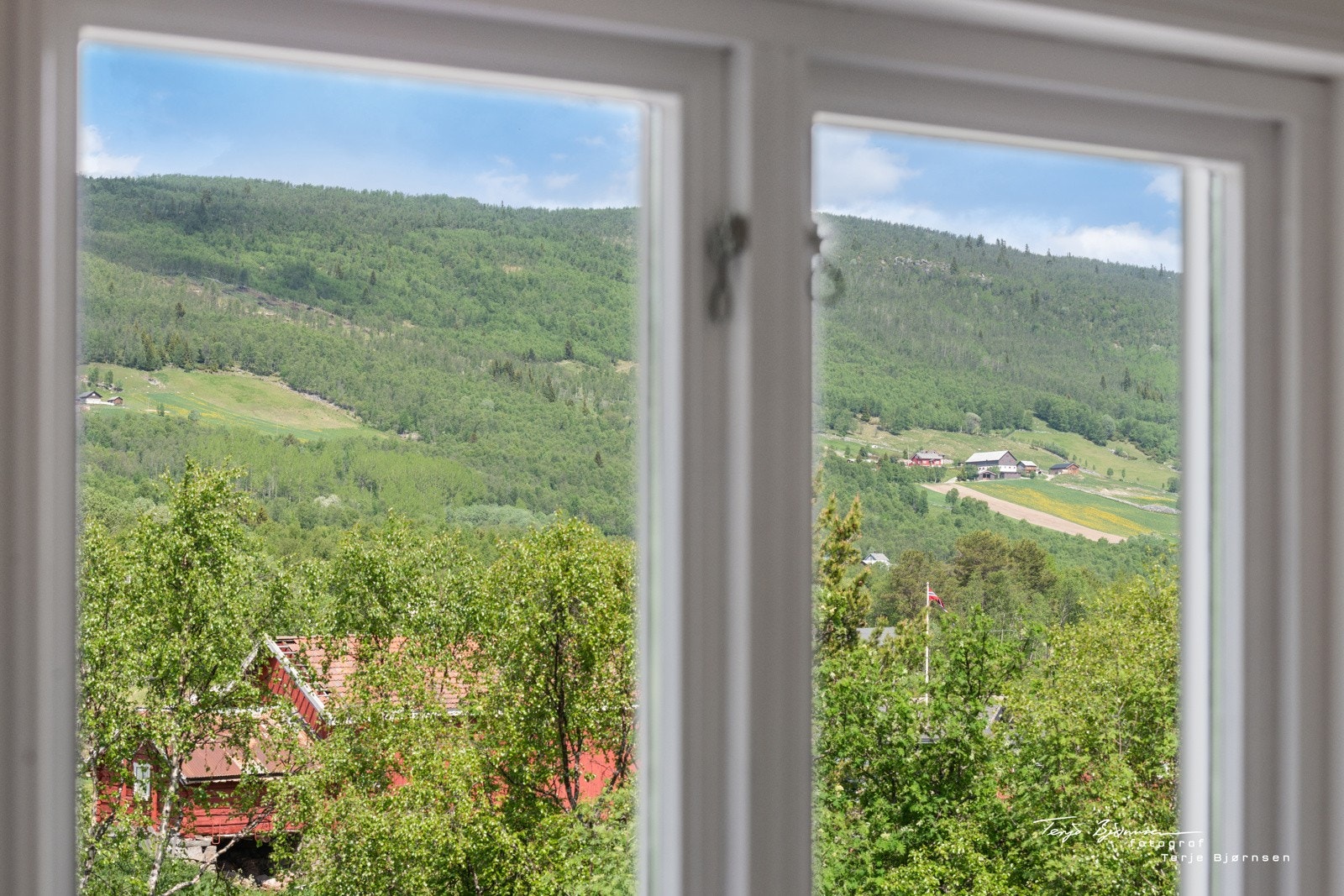 Nydelig utsikt. Galleribilde
