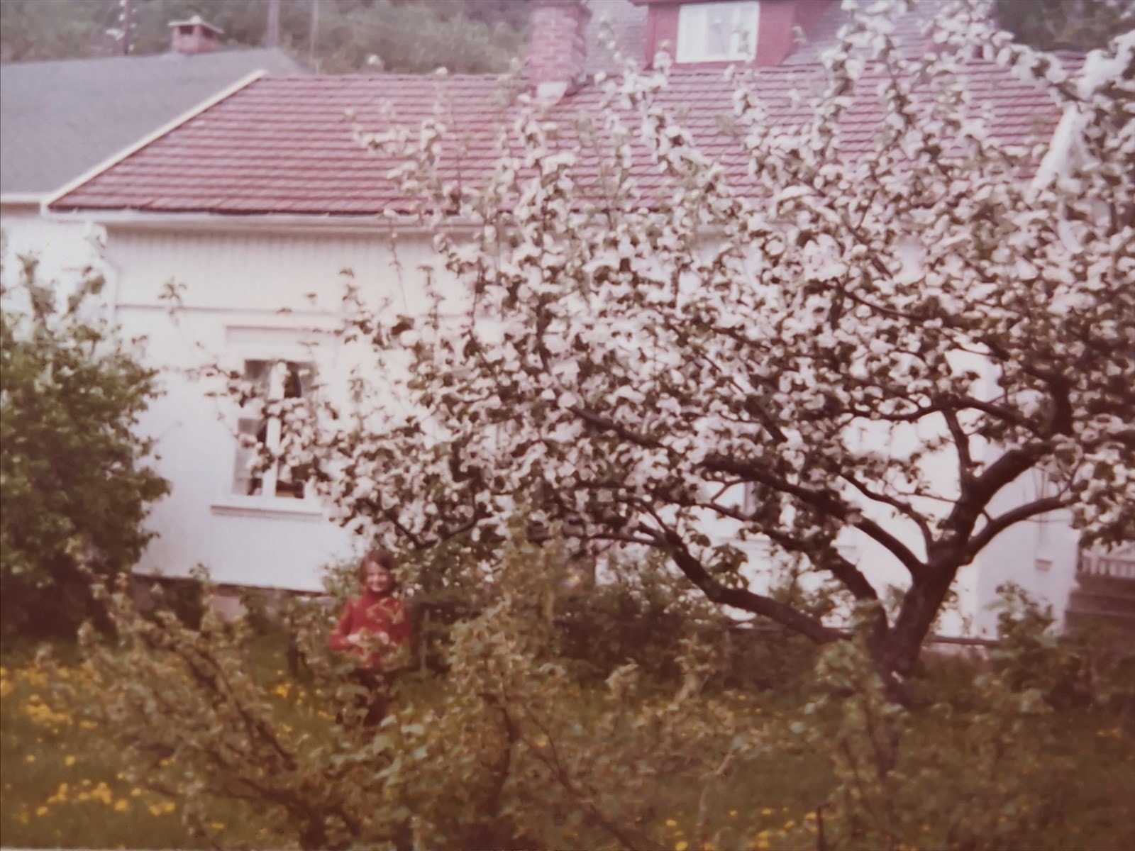 1976 Galleribilde