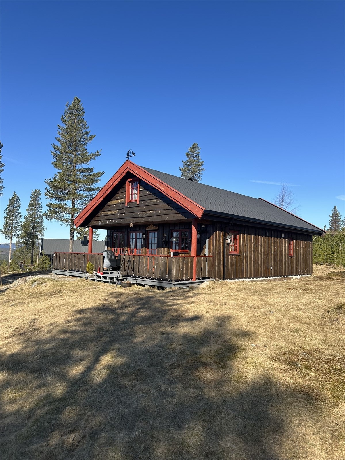 Terrassen er overbygget og har terrassebord på gulv og rekkverk av villmarkspanel. Det er også montert uttrekkbar levegg og utebelysning. Galleribilde
