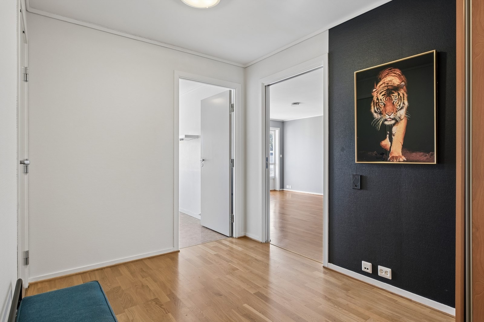 Entre Galleribilde