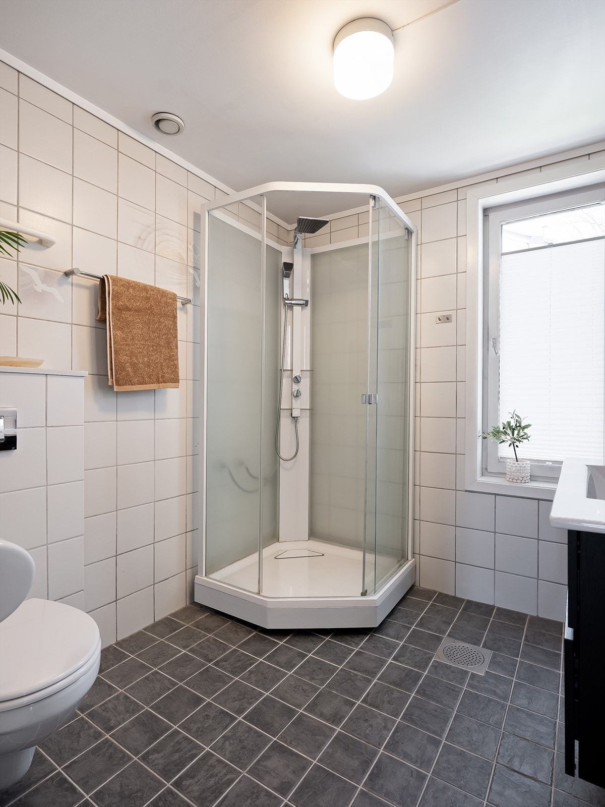 Det er dusjkabinett med dusjarmatur og vegghengt toalett. Galleribilde