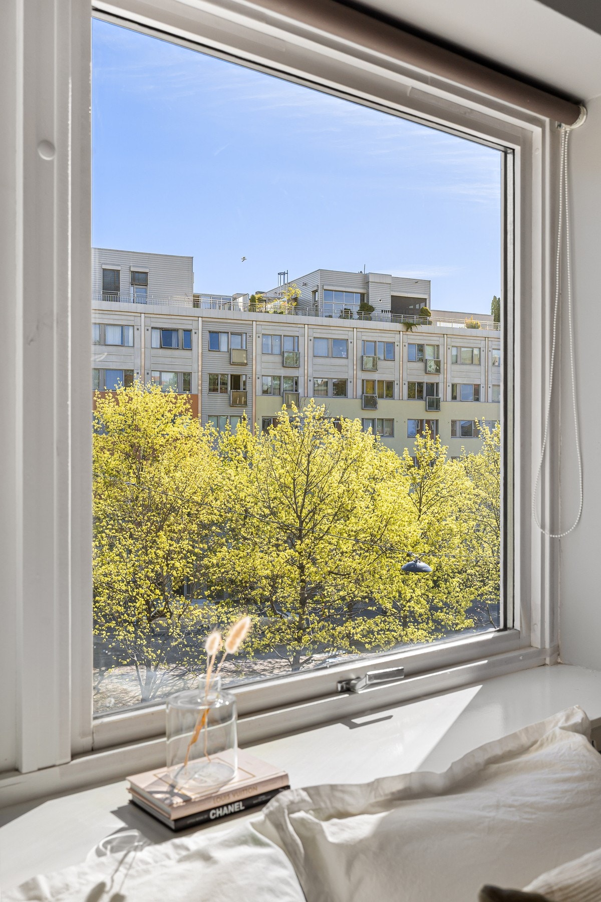 Store vindusflater mot frodige omgivelser Galleribilde