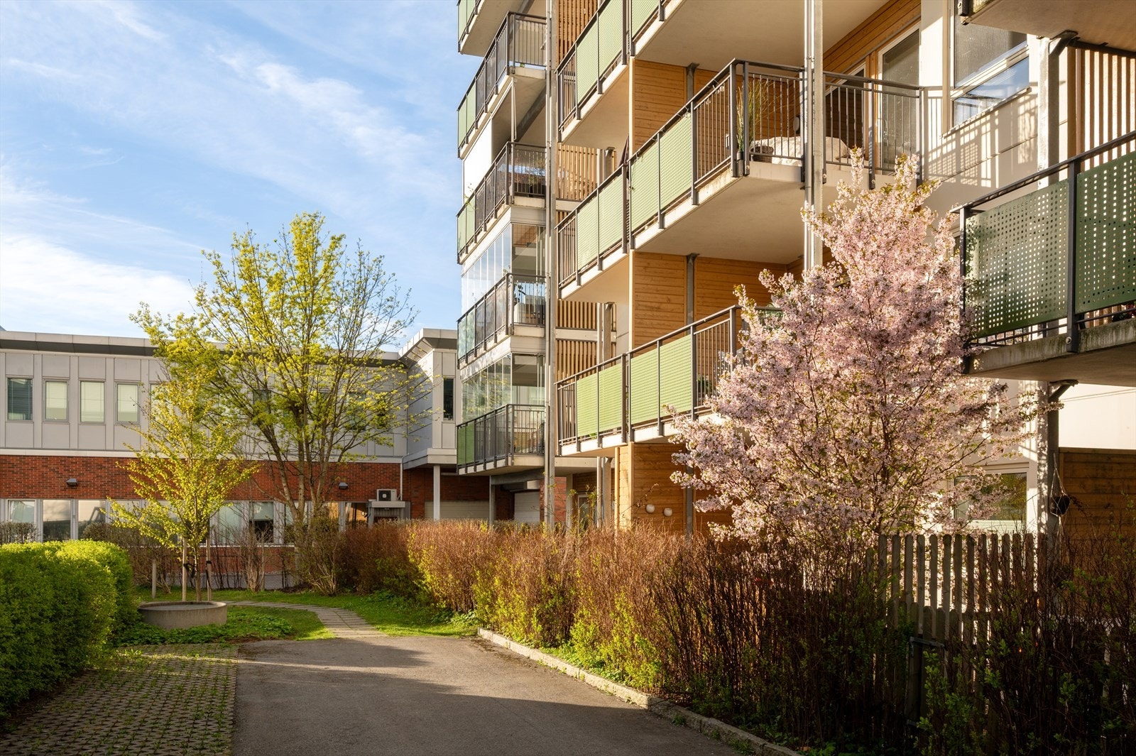 Fellesområder med gangsti, gressplen og beplantning. Galleribilde