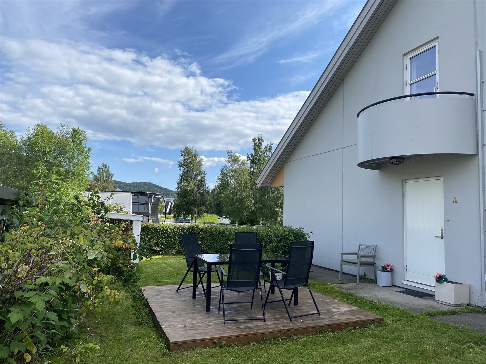 Selgers sommerbilde. Galleribilde