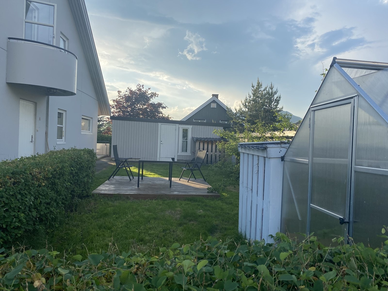 Selgers sommerbilde. Galleribilde