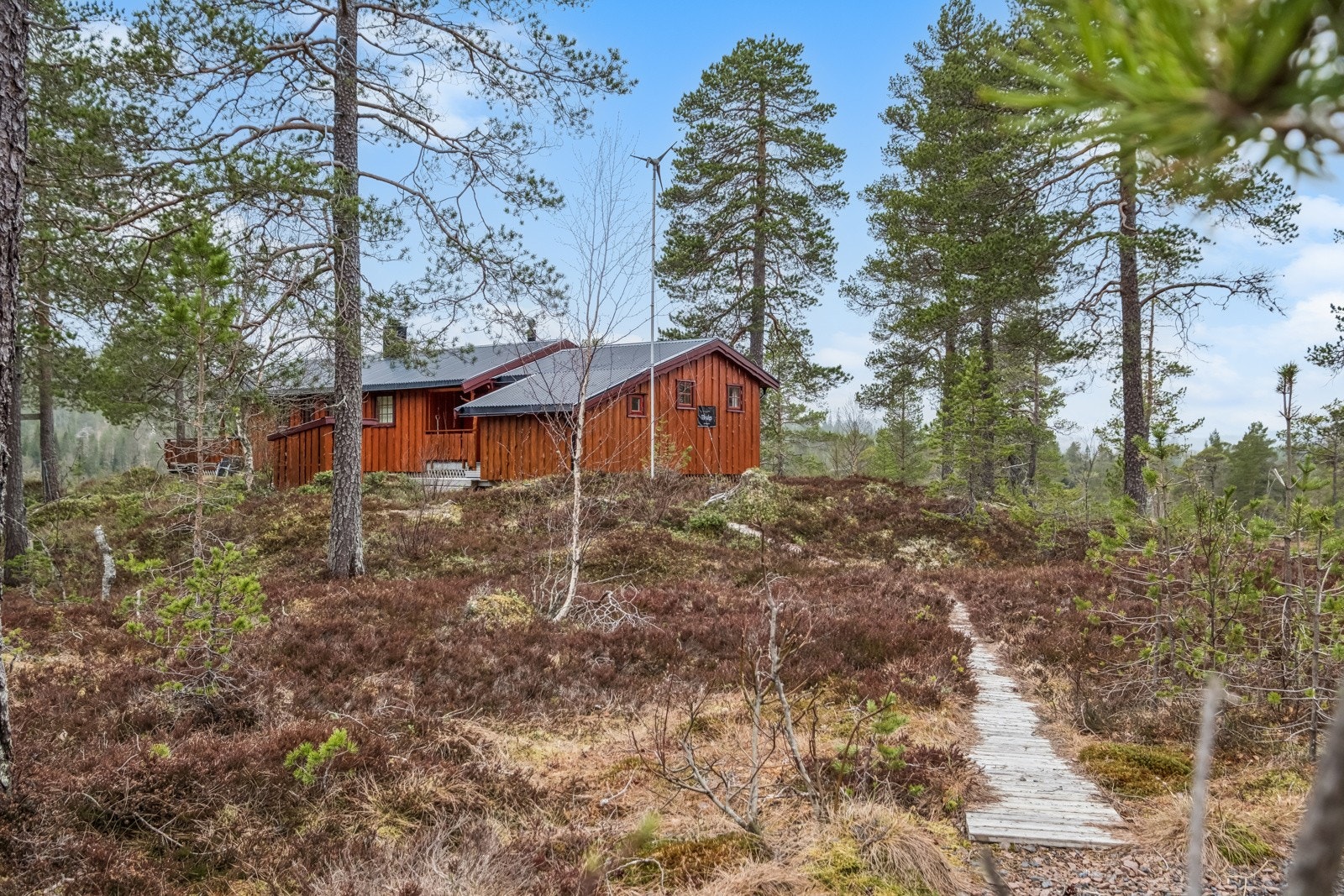 Det er ca. 200 meter å gå fra parkeringsplass og til hytta Galleribilde