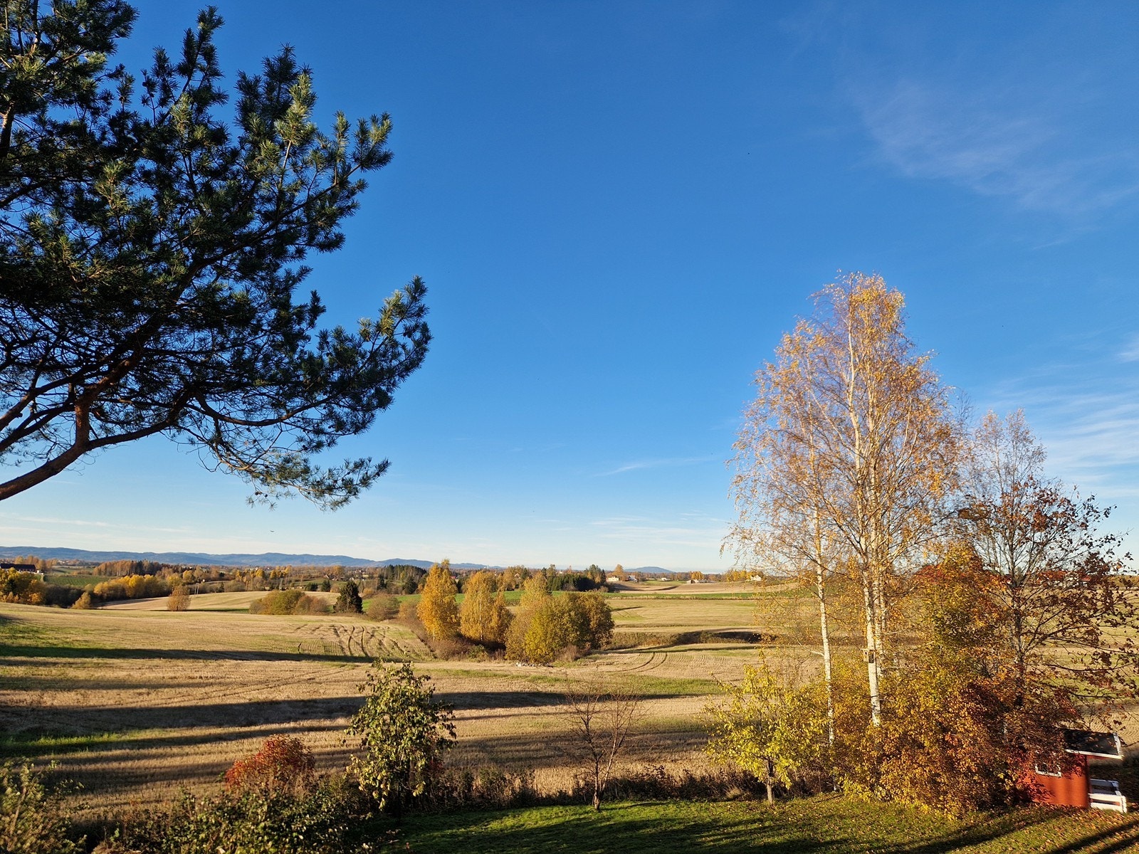 Vakker høstutsikt over landbrukslandskap i bakkant av eiendommen. Galleribilde