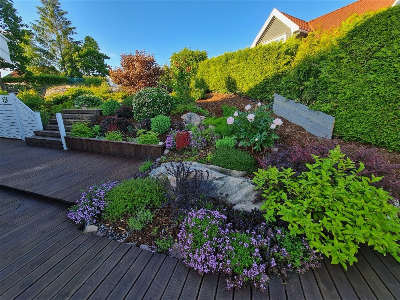 Selgers sommerbilde av hage Galleribilde