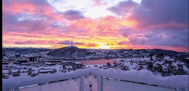 Bilder tatt av eier; en fin vinterdag Galleribilde