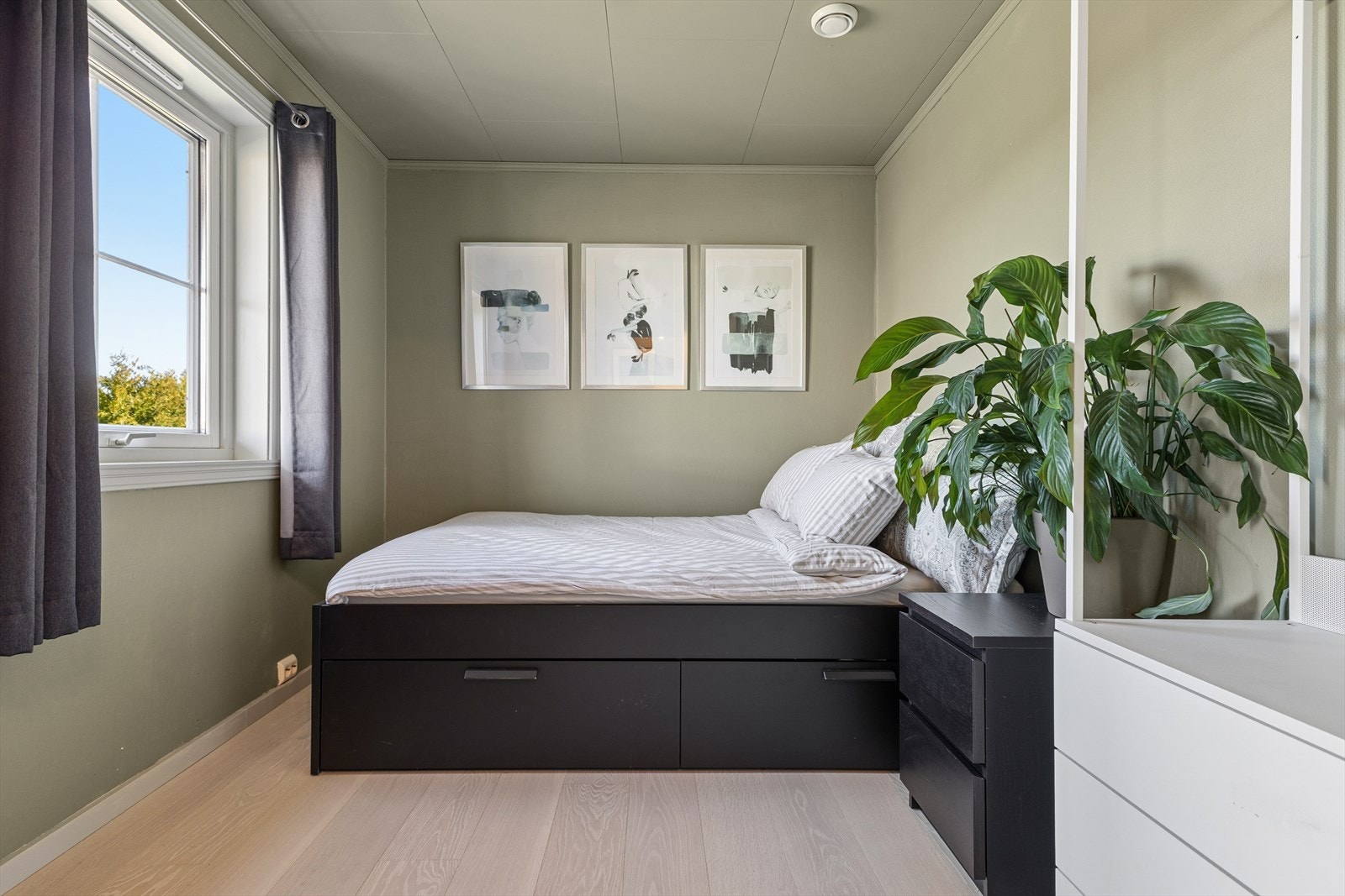 Alle oppholdsrom har vinduer i tre med isolerglass. Galleribilde