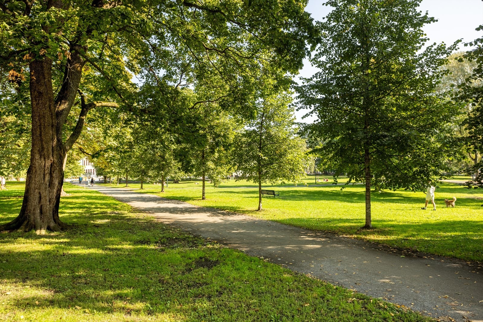 Sofienbergparken, en nær og kjør nabo vis-a-vis inngangsporten Toftes gate 43 Galleribilde