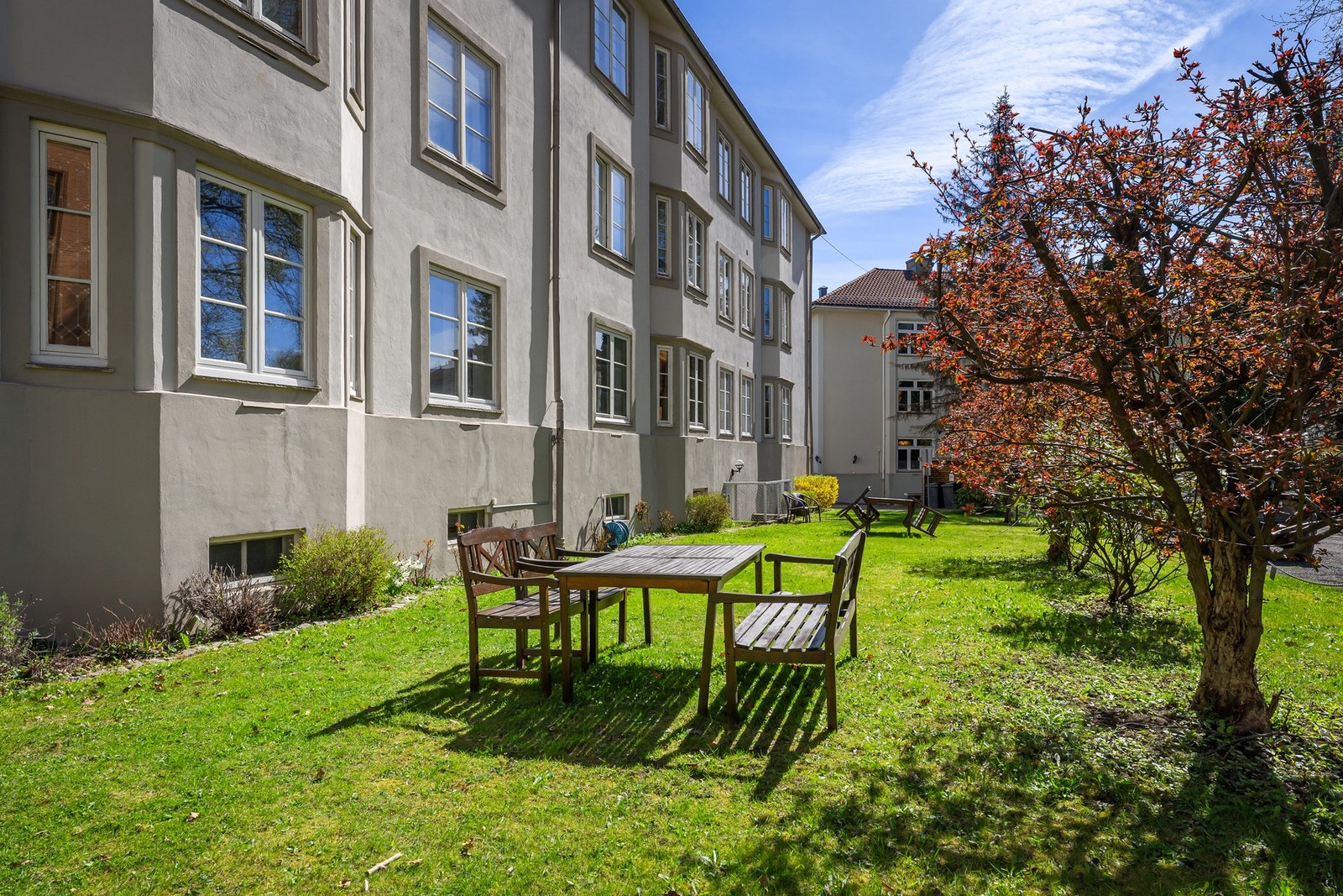 Flott bakhage Galleribilde