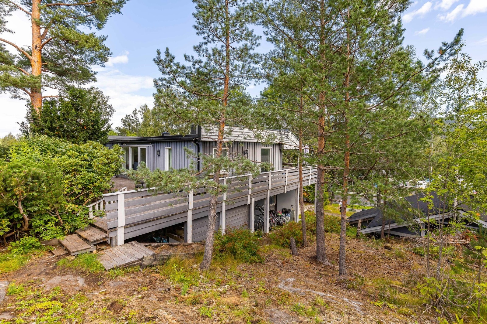 Koselig hageområde med mye potensial. Galleribilde