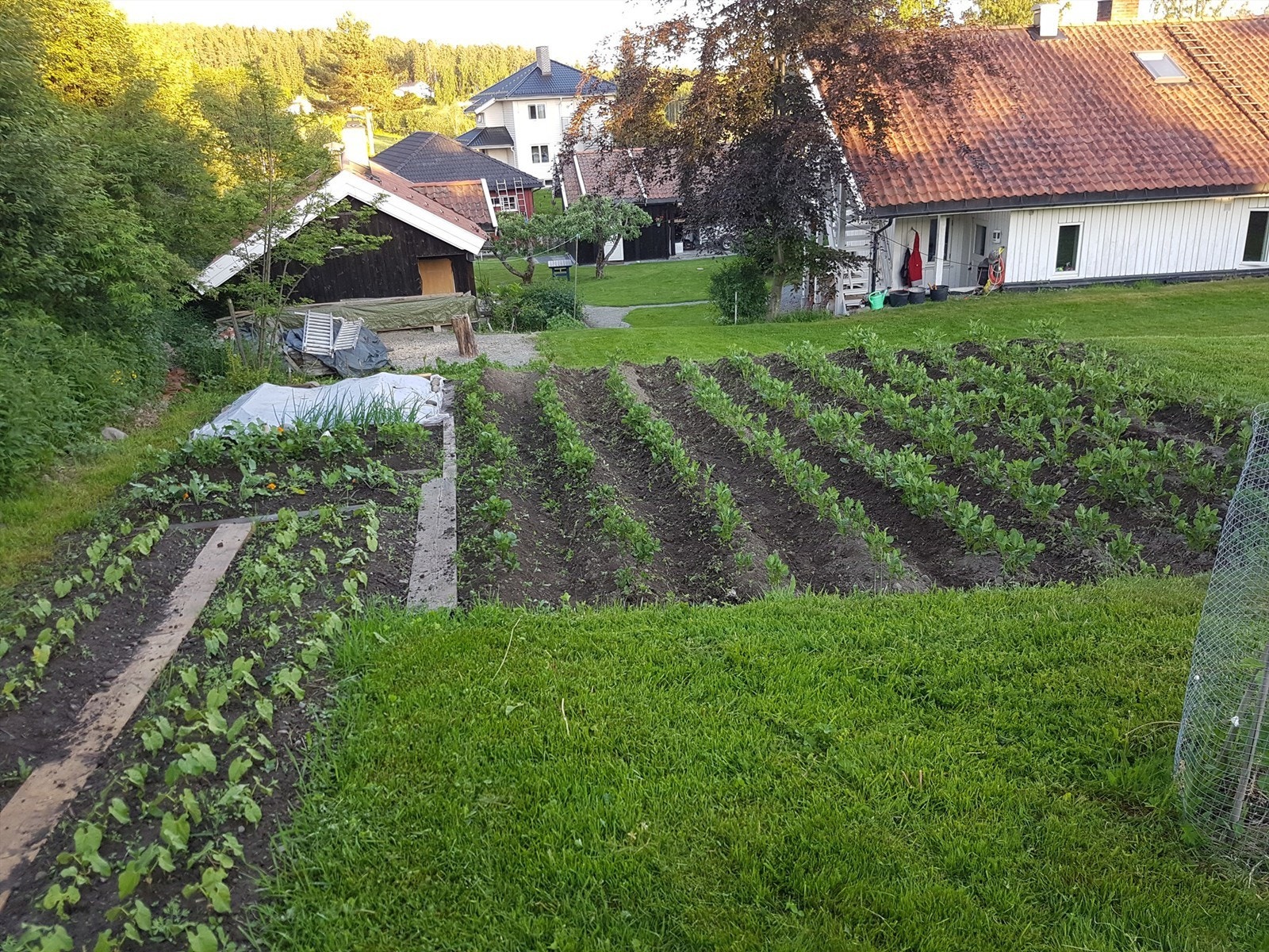 Hagen (Bilde fra selger) Galleribilde