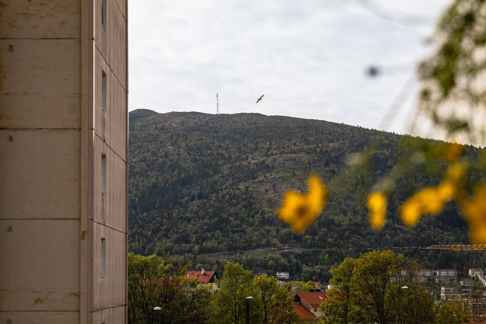 - Koselig utsikt - Galleribilde