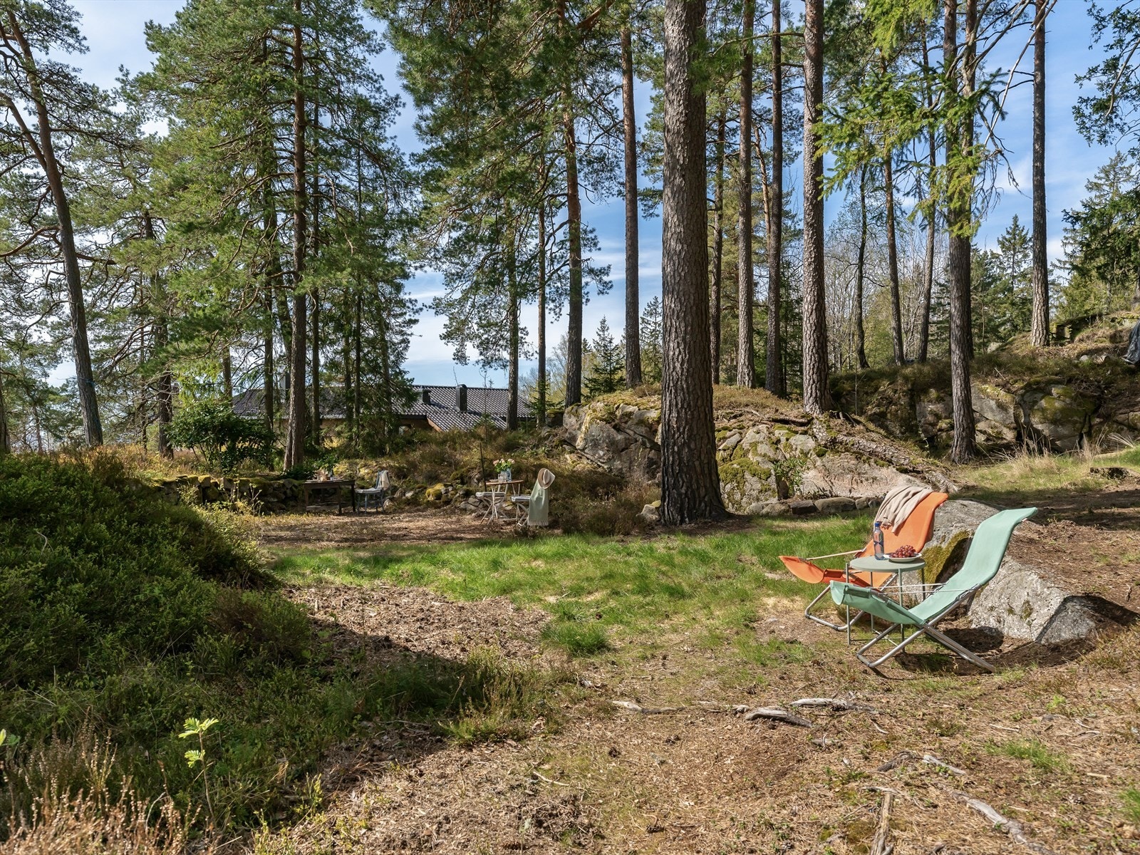 Her kan man nyte stillheten og nærheten til naturen. Galleribilde