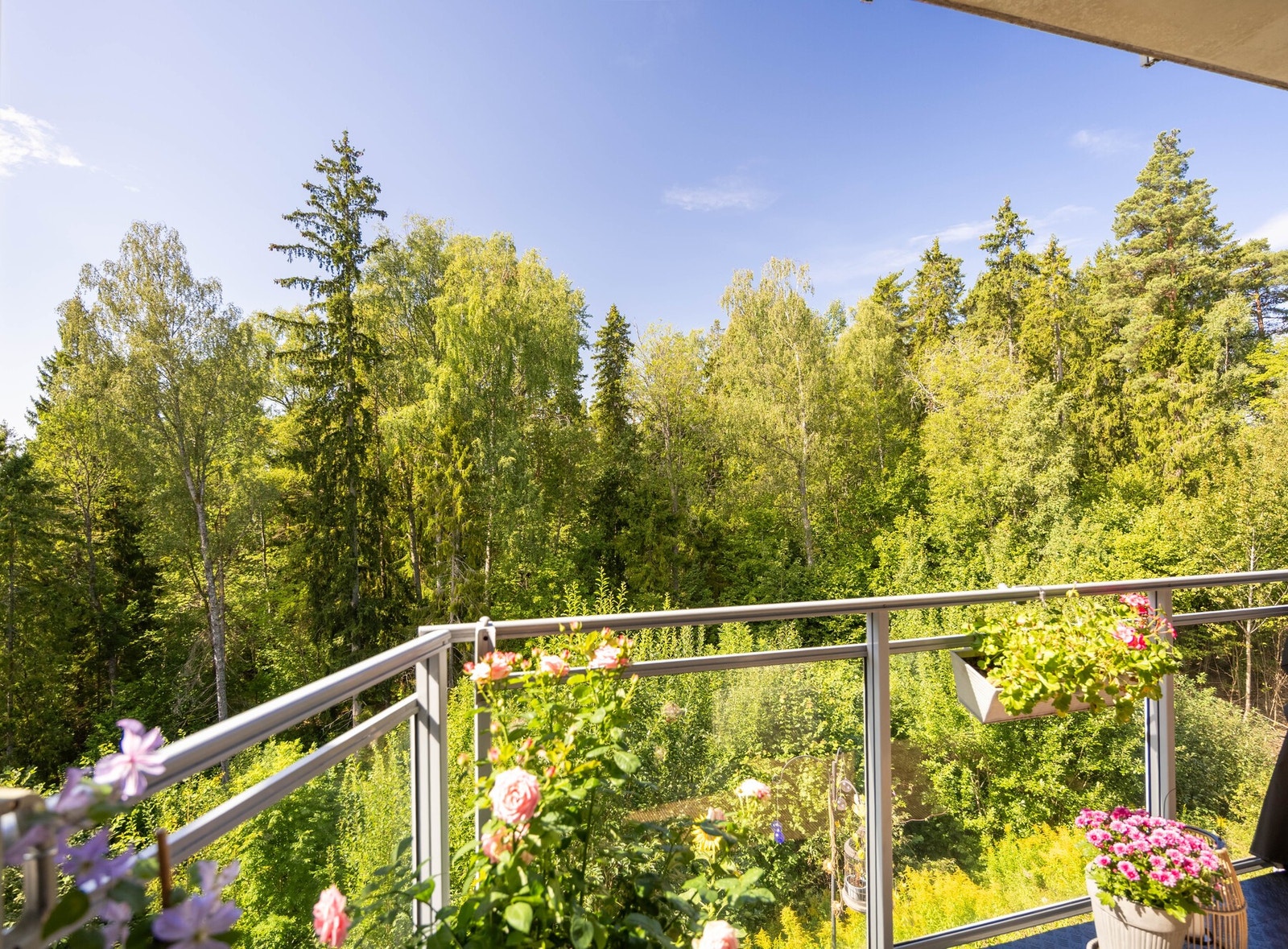 Nærområdet har et rikt dyreliv, og ofte kan man se dyr fra balkongen. Galleribilde