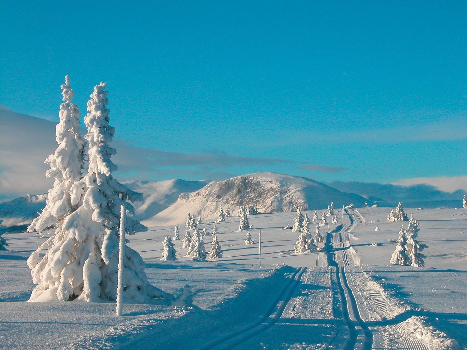 Eventyrlig utsikt fra skiløypene på Golsfjellet, dette er kun et par km fra hyttetomten. Galleribilde
