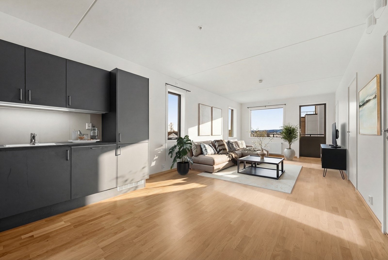 EiendomsMegler1 v/Marius Alstedt har gleden av å presentere Nannestadvegen 528. Foto: Thor Øyvind Borgersen, Flytende film AS (bildet er digitalt stylet) Galleribilde