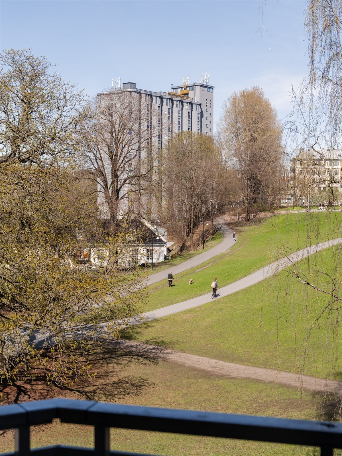 Utsikt fra balkongen ut mot flotte grøntområder i Grünerhagen park. Galleribilde