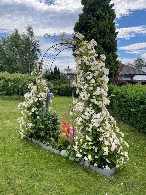 En sjarmerende og lettstelt hage med prydbusker og plass til lek. Galleribilde
