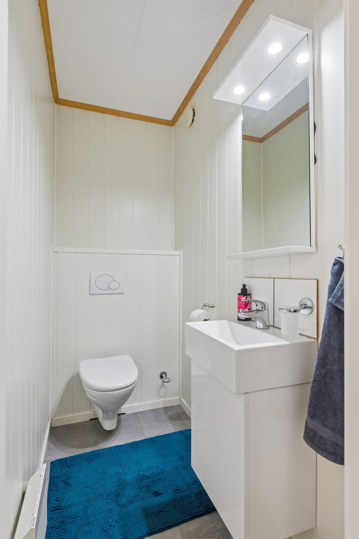 Wc rom Galleribilde