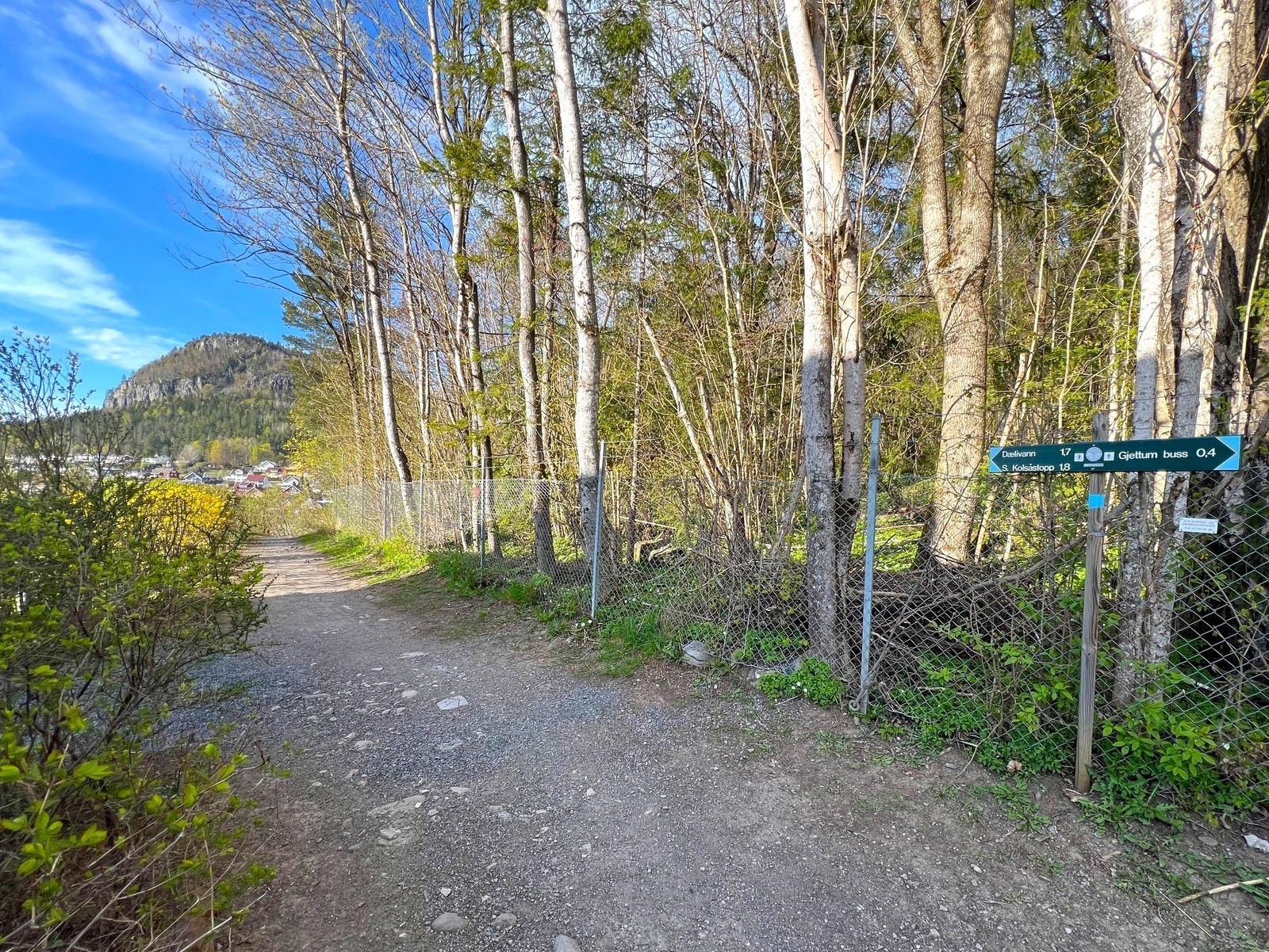 Innerst i blindveien starter en tursti inn i Kolsås/Dælivann landskapsvernområde Galleribilde