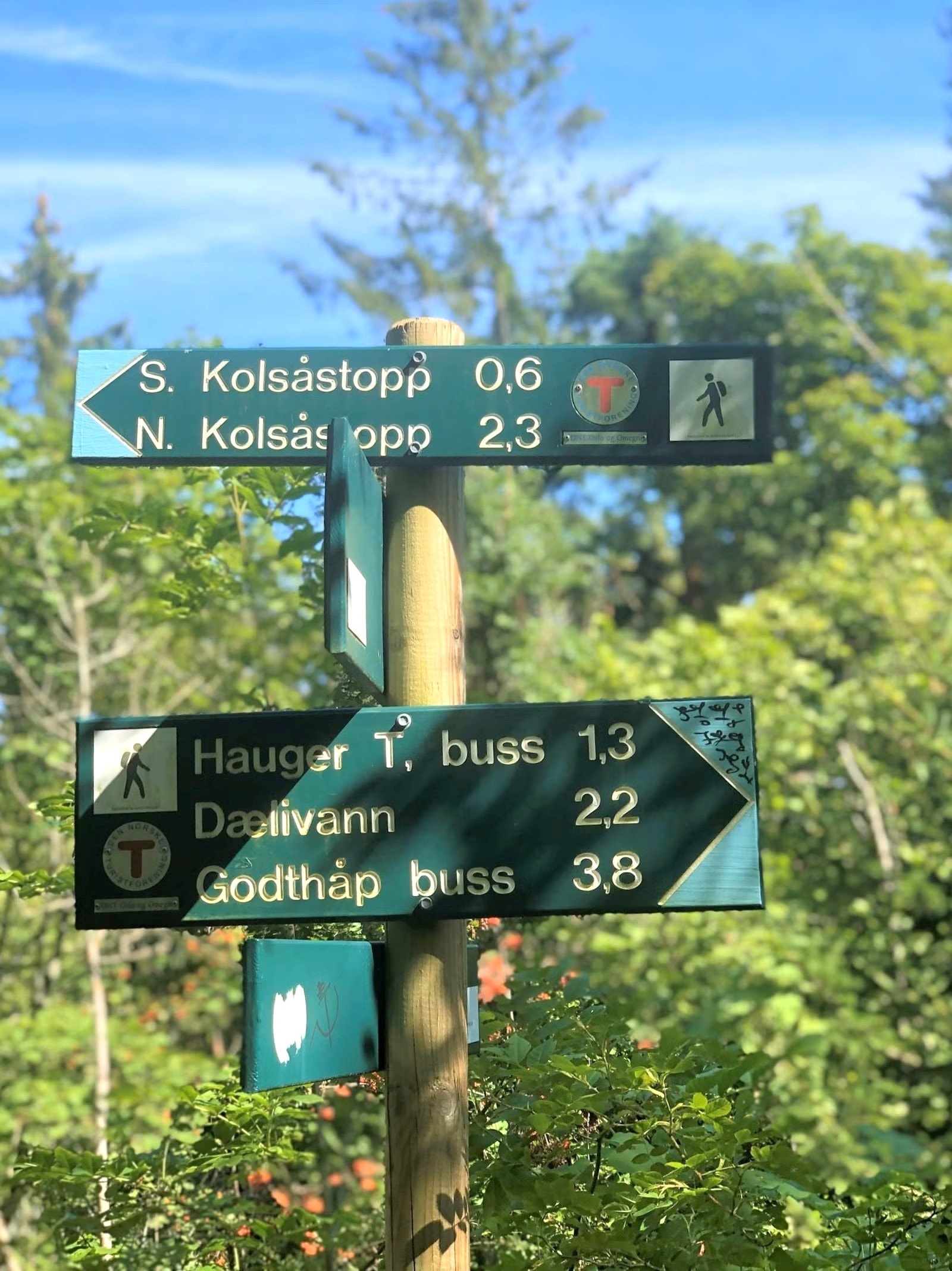 Nærmiljø med flotte turmuligheter! Galleribilde
