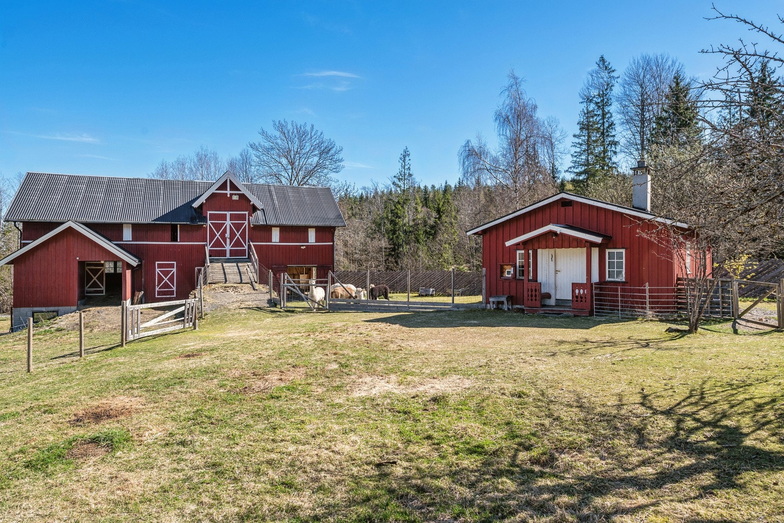 Eiendommen har gode solforhold. Galleribilde