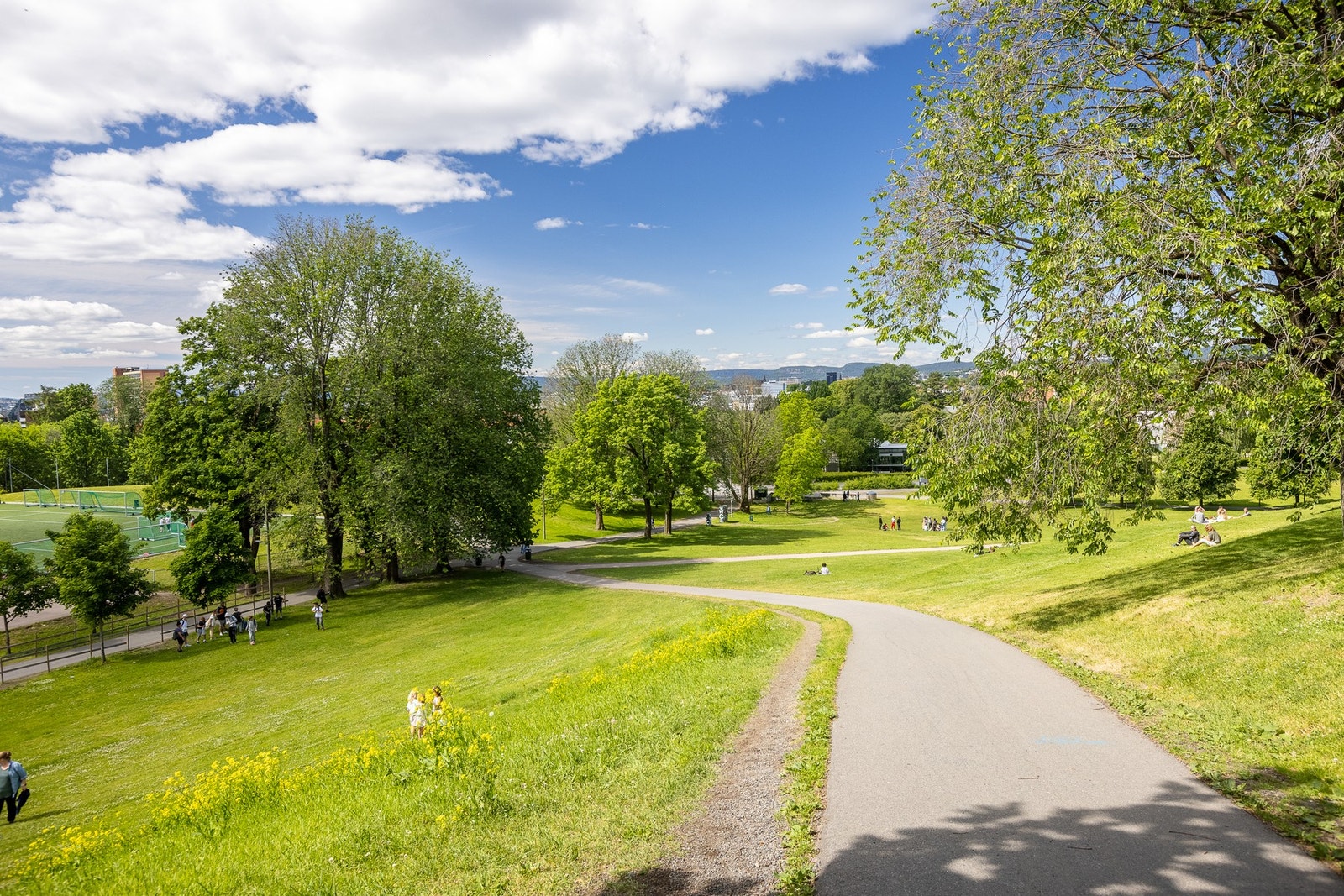 Nyt solrike dager og grønne omgivelser i Tøyenparken like i nærheten Galleribilde