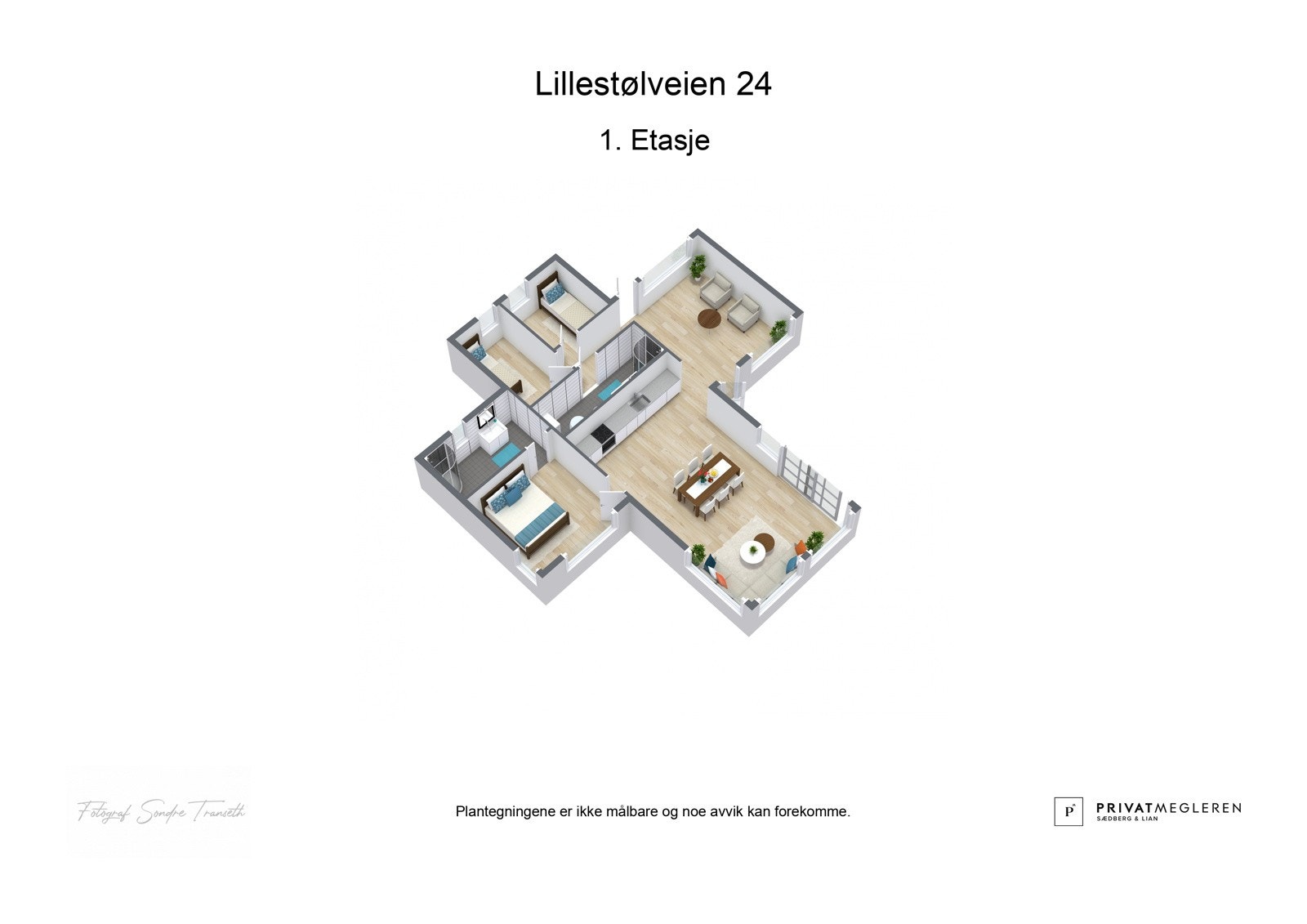 Plantegning 3D Galleribilde