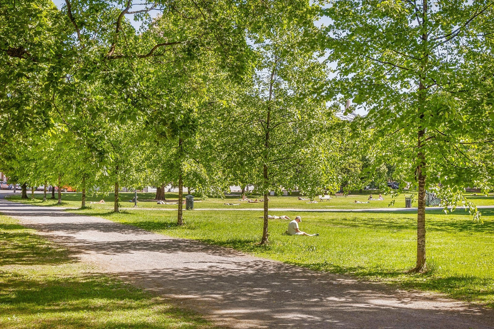 I nærområdet er det flust av parker hvor man kan nyte solen, ha piknik med venner eller lese en god bok i eget selskap. Galleribilde